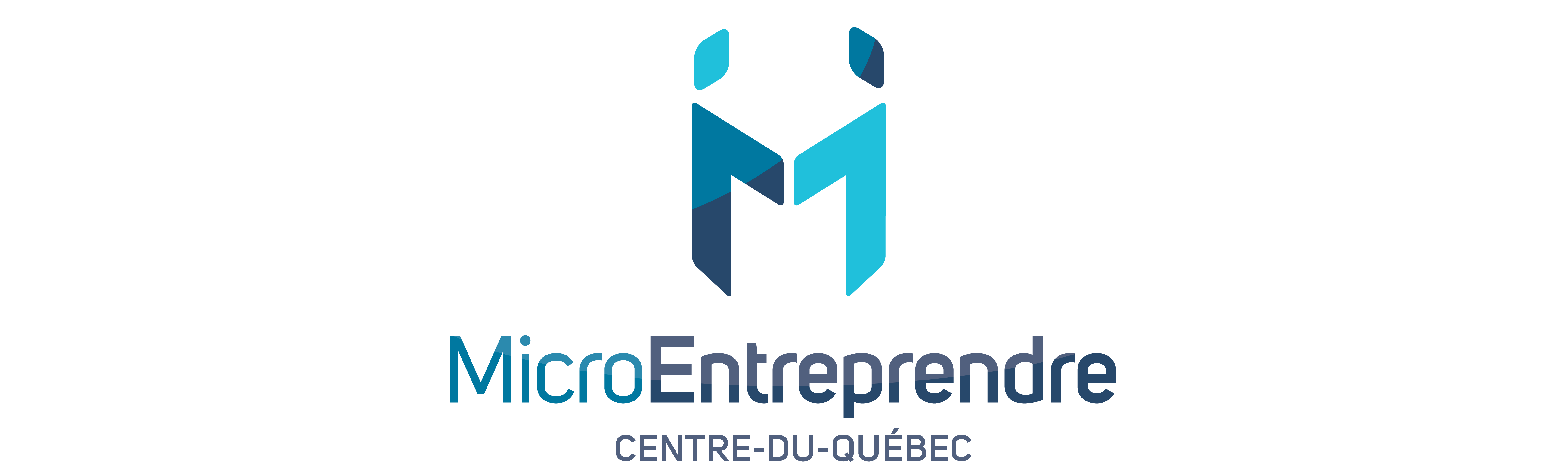 Microentreprendre Centre Du Quebec La Ruche