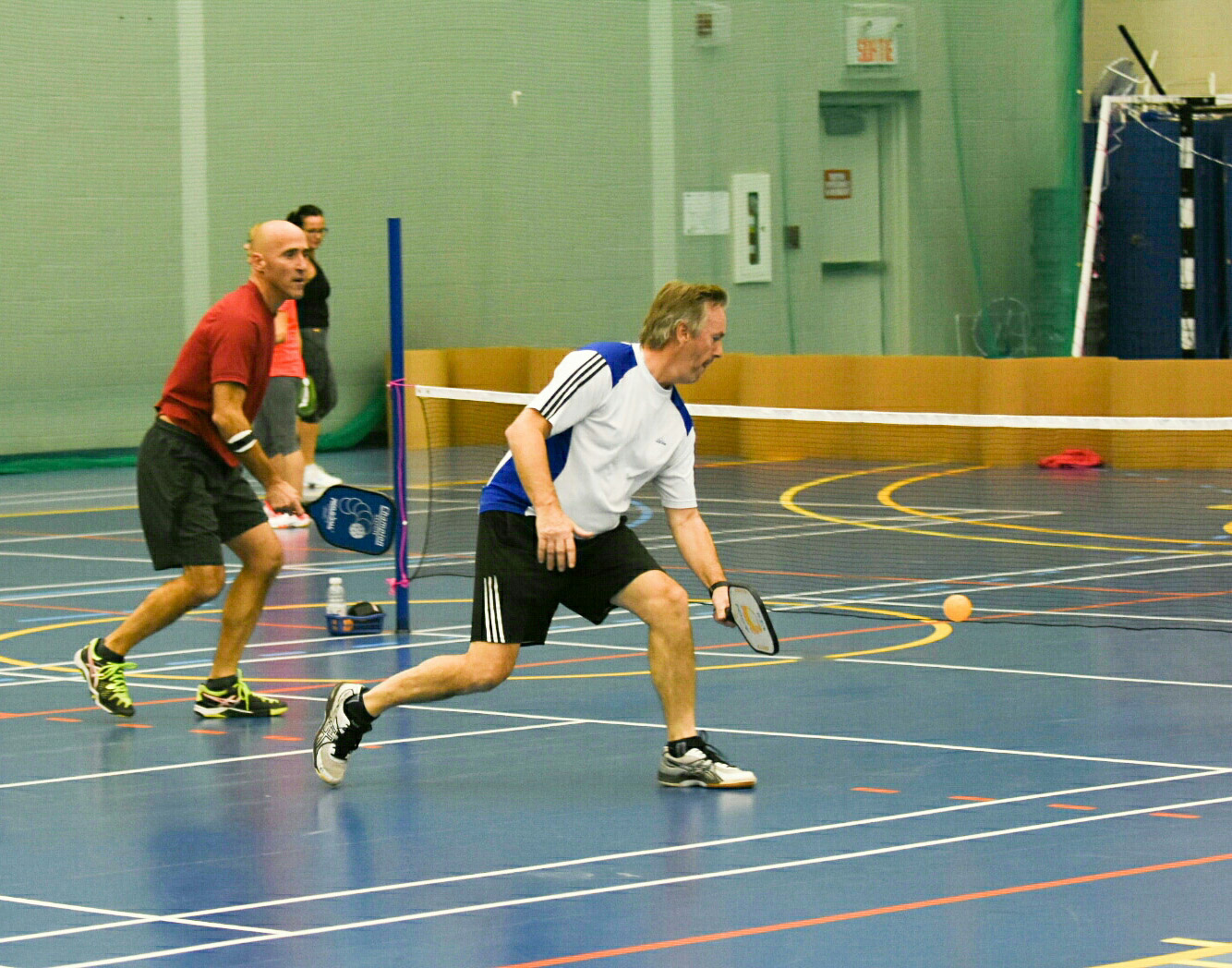 Un Livre: Le Pickleball, Un Jeu Pour Tous | La Ruche